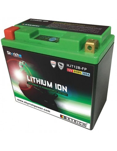 Batería de Litio Skyrich HJT12B-FP