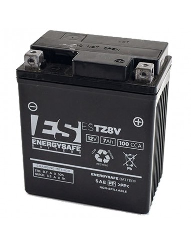 Batería de Ácido EnergySafe ESTZ8-V