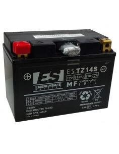 Batería de Ácido Energysafe ESTZ14-S