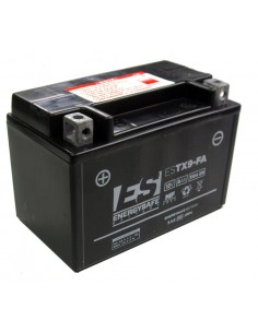 Batería de Ácido Energysafe ESTX9-B4