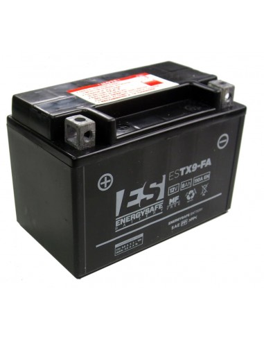 Batería de Ácido Energysafe ESTX9-B4