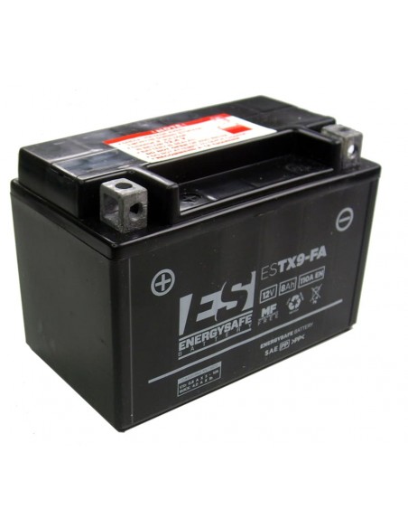 Batería de Ácido Energysafe ESTX9-B4