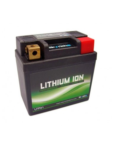 Batería de Litio Skyrich LFP01
