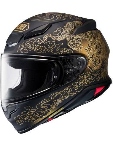 Casco Shoei NXR 2 Fearless | TC5