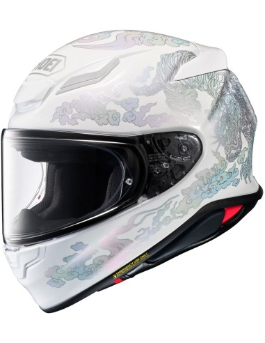 Casco Shoei NXR 2 Fearless | TC6