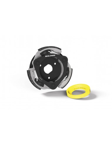 Embrague Malossi Maxi Delta Clutch Honda Forza 125