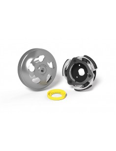 Maxi Fly System Malossi Honda Forza 125 ABS
