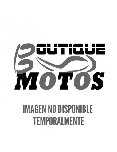 Variador Malossi Peugeot Satelis
