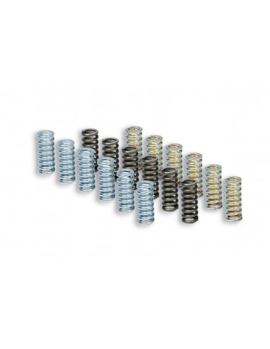 Muelles Malossi Embrague Original Piaggio X10 350