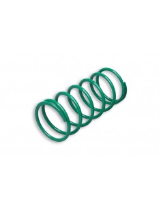 Mola da polia motriz Malossi verde para Yamaha T-Max 500