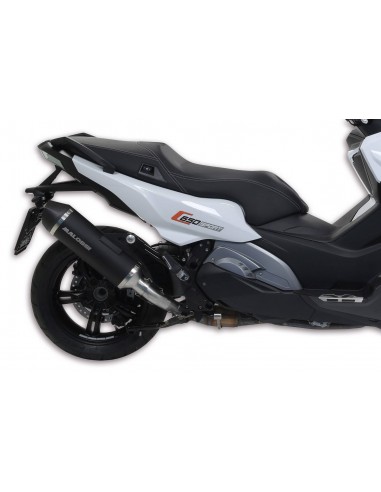 Silencioso Malossi Maxi Wild Lion BMW C 650