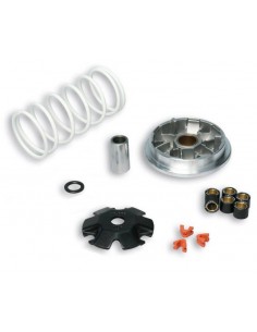 Variador Malossi Multivar 2000 – 5114206