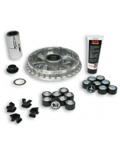 Variador Multivar Malossi Yamaha X-MAX 400 / Majesty 09- / MBK Evolis 400 13- | 5114148