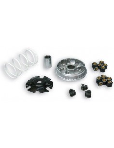 Variador Multivar Malossi Piaggio X7 / X8 / X9 200-250 MP3 250-300 | 5111885