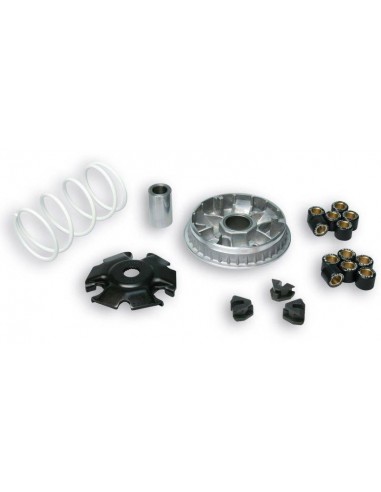 Variador Multivar Malossi Piaggio X7 / X8 / X9 200-250 MP3 250-300 | 5111885