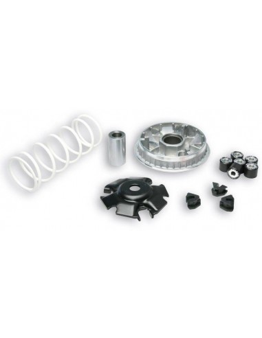 Variador Multivar Malossi Honda SH 125/150, @ 125/150 | 5111572