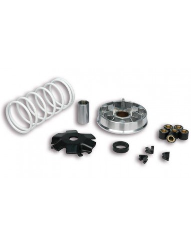 Variador Multivar Malossi KYMCO 2T AGILITY / DINK / SUPER8-9 | 5119988