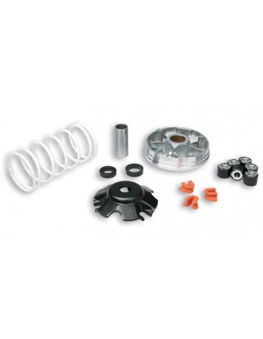 Variador Multivar Malossi PIAGGIO 50CC 2T&4T ZIP / FLY / LIBERTY 50 4T | 5119019