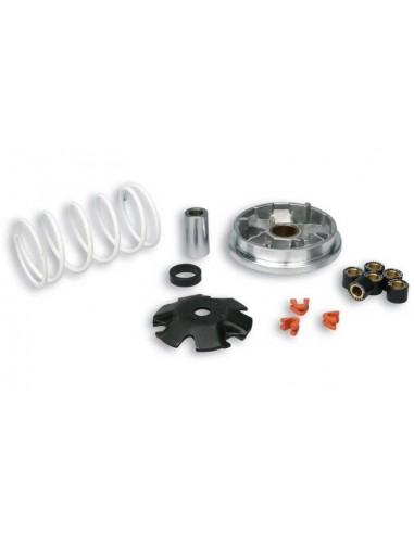 Variador Malossi Multivar para Scooter | 518752
