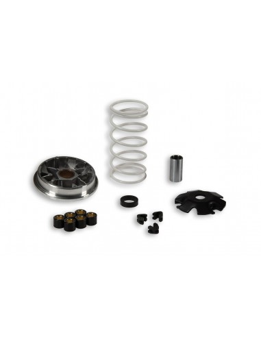 Variador Multivar Malossi PIAGGIO 50CC NRG / ZIP2T / MC2 / MC3 | 517382