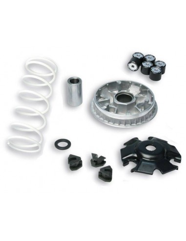 Variador Multivar Malossi DINK STREET / Superdink 125 PEOPLE GTI / K-XCT 125 | 5114266