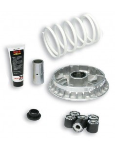 Variador Malossi Multivar 2000 - 5114264