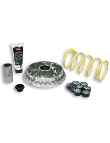 Variador Multivar Malossi 2000 Suzuki Burgman 400 | 5114258