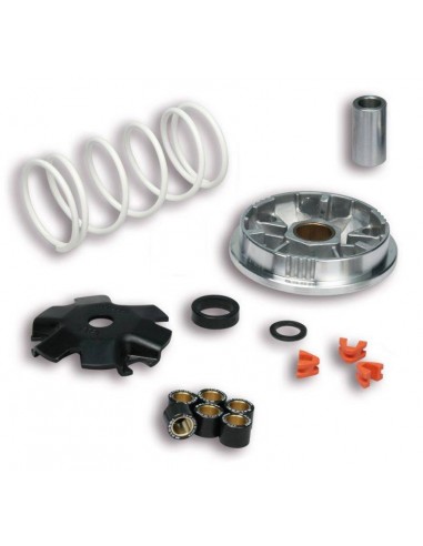 Variador Multivar Malossi Yamaha GIGGLE / NEOS 4T | 5113603