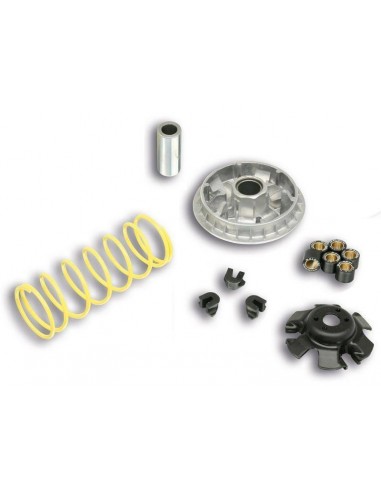 Variador Multivar Malossi SYM 300 | 5113597