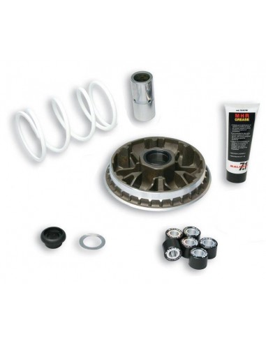 Variador Multivar Malossi HONDA SH300 / FORZA 300 | 5114192