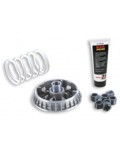 Variador Malossi Multivar 2000 - 5116277