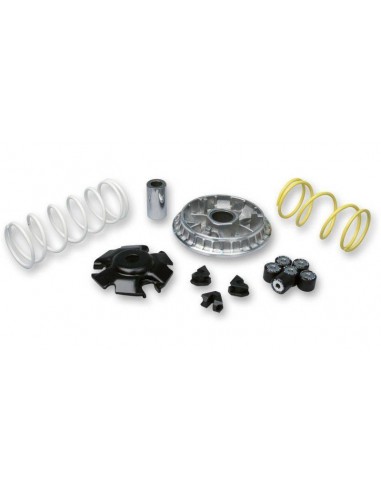 Variador Multivar Malossi HONDA FORZA / SH 125 13- | 5115652