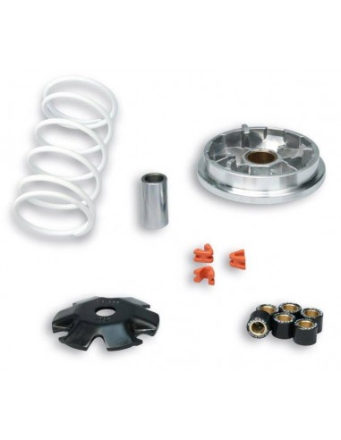 Variador Multivar Malossi HONDA VISION 50 4T IE | 5115209