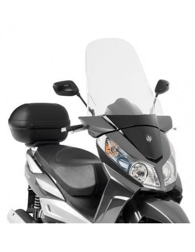 Givi D650ST Tela Transparente SYM Citycom 300...