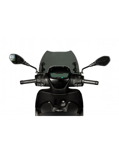 Tela Malossi Sport Screen 4518761 Piaggio...