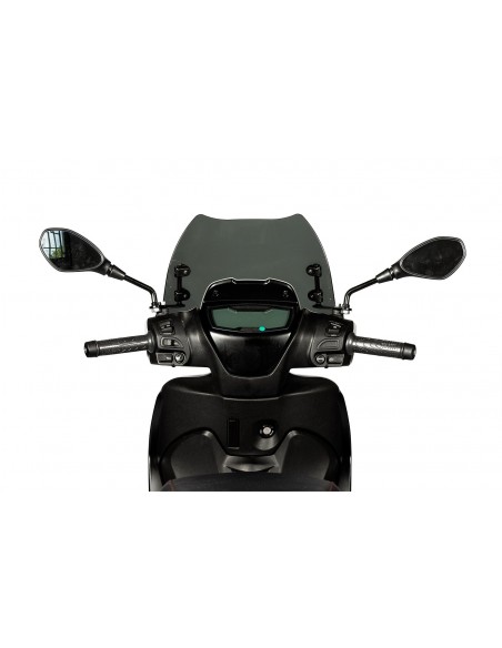 Tela Malossi Sport Screen 4518761 Piaggio Medley 125