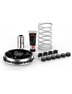 Variador Multivar Malossi BMW C 400 X - 5118750
