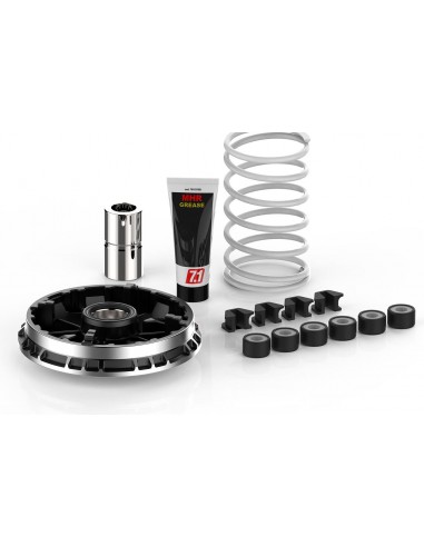 Variador Multivar Malossi BMW C 400 X - 5118750