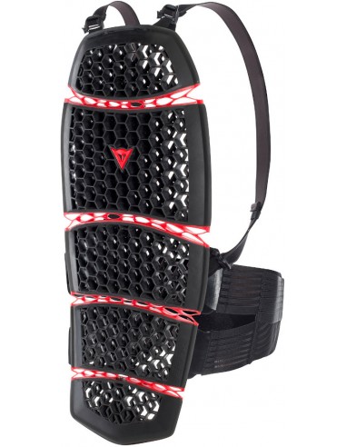 Protección Espalda Dainese Pro-Armor 2.0 Long | Negro