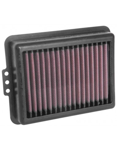 Filtro Aire K&N BMW F 750 GS