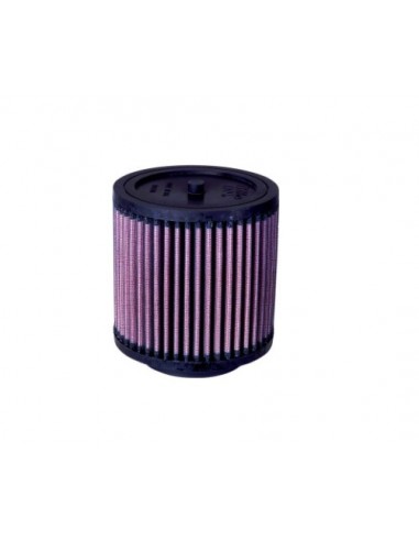 Filtro Aire K&N Honda TRX 500