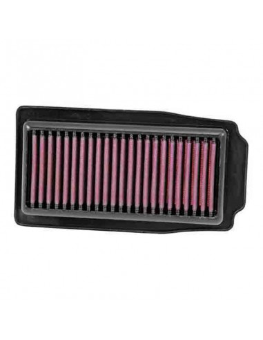 Filtro Aire K&N Suzuki Inazuma 250