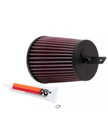 Filtro Aire K&N Suzuki QuadSport
