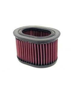Filtro Aire K&N Yamaha FZR 600 R