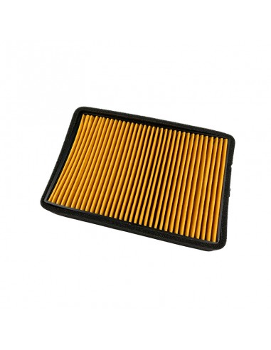 Filtro Aire Meiwa Benelli BN 125 (18/21)