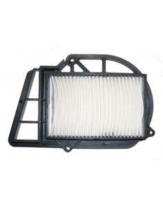 Filtro Aire Meiwa Carter Italjet Jupiter 250