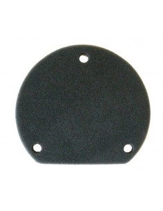 Filtro Aire Meiwa Carter Yamaha Majesty CA 180