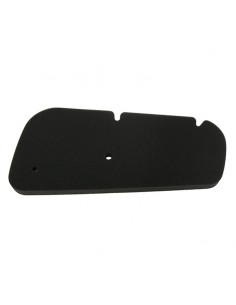 Filtro Aire Meiwa Honda Pantheon 125