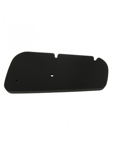 Filtro Aire Meiwa Honda Pantheon 125
