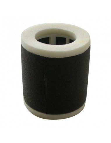 Filtro Aire Meiwa Kawasaki EN 500